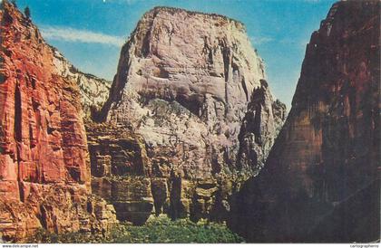 Postcard America USA UT - Utah > Zion national park Great White Throne 1970