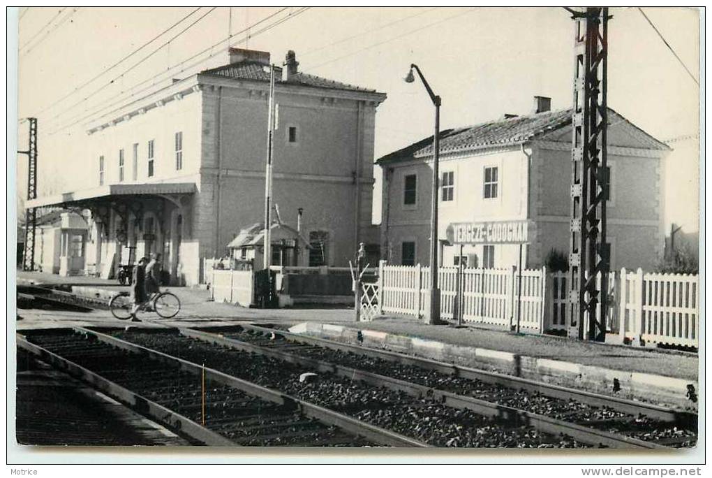 VERGEZE-CODOGNAN   -   La Gare SNCF.