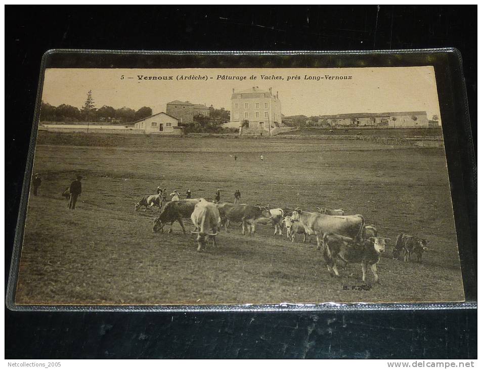 VERNOUX - PATURAGE DE VACHES PRES LONG-VERNOUX + BERGER - 07 ARDECHE