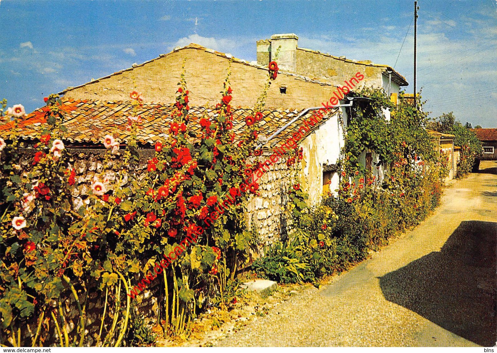 Vieilles maisons et rues fleuries - Talmont Saint Hilaire - (85) Vendée