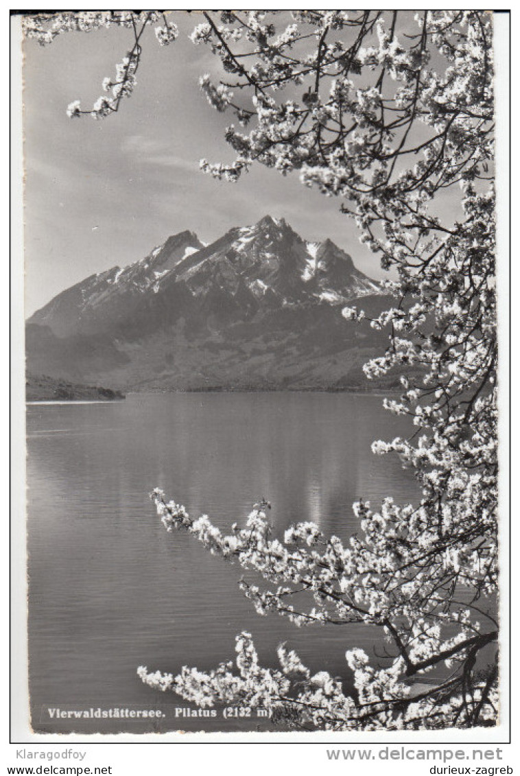 Vierwaldstättersee old postcard travelled 1957 bb160323