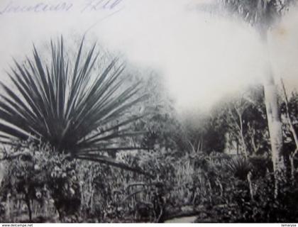 TONKIN JARDIN COLONIAL PRÉCURSEUR INDOCHINE MANDAT FRANÇAIS 1940 Carte Postale Poskarte cartolina postale Asie  Viêt-Nam