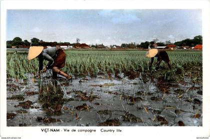 Vietnam - Country life