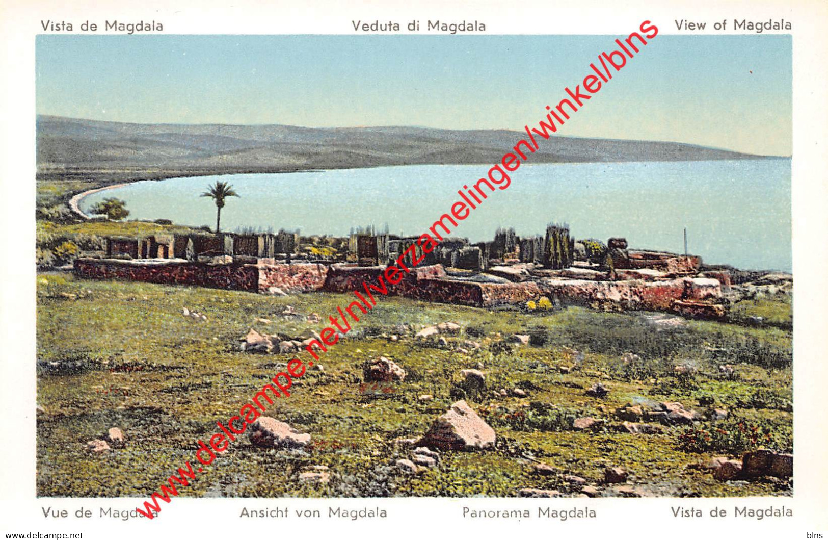 View of Magdalena - Palestina