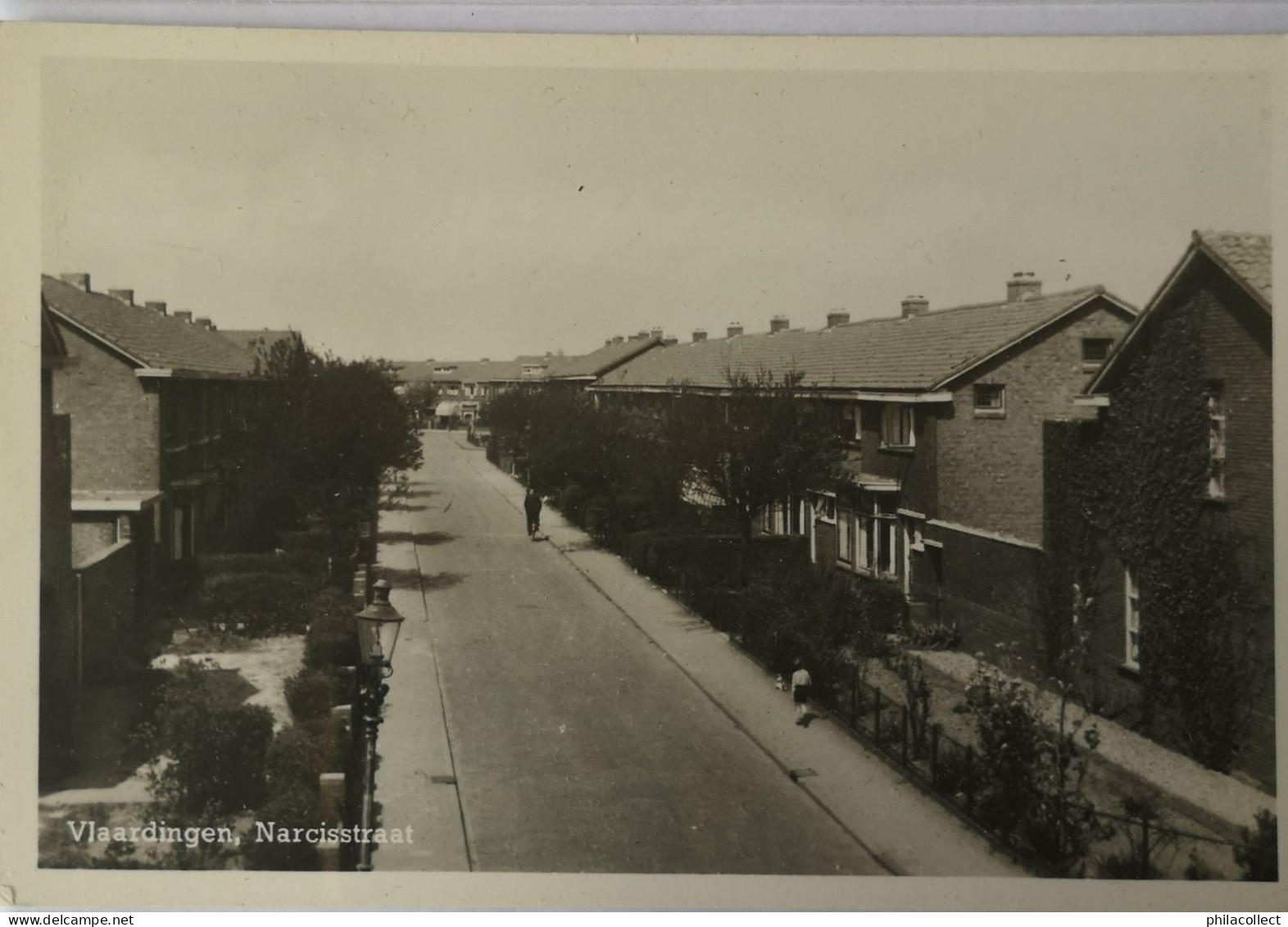 Vlaardingen // Narcisstraat 19??