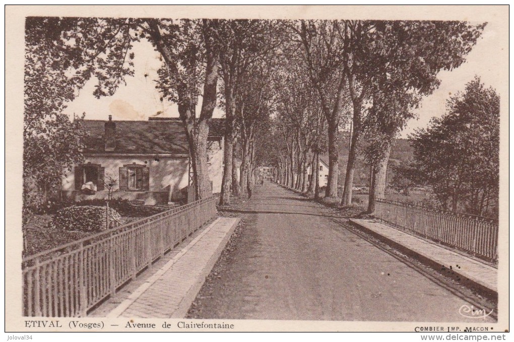 Vosges - ETIVAL  - Avenue de Clairefontaine - non écrite