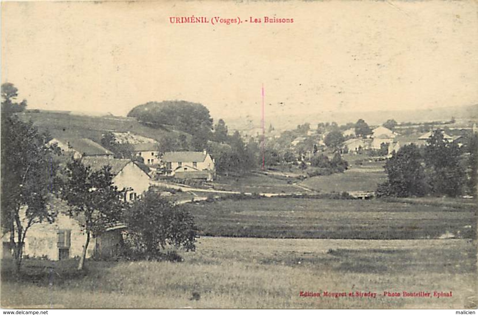 - vosges -ref-A725-  urimenil - les buissons -