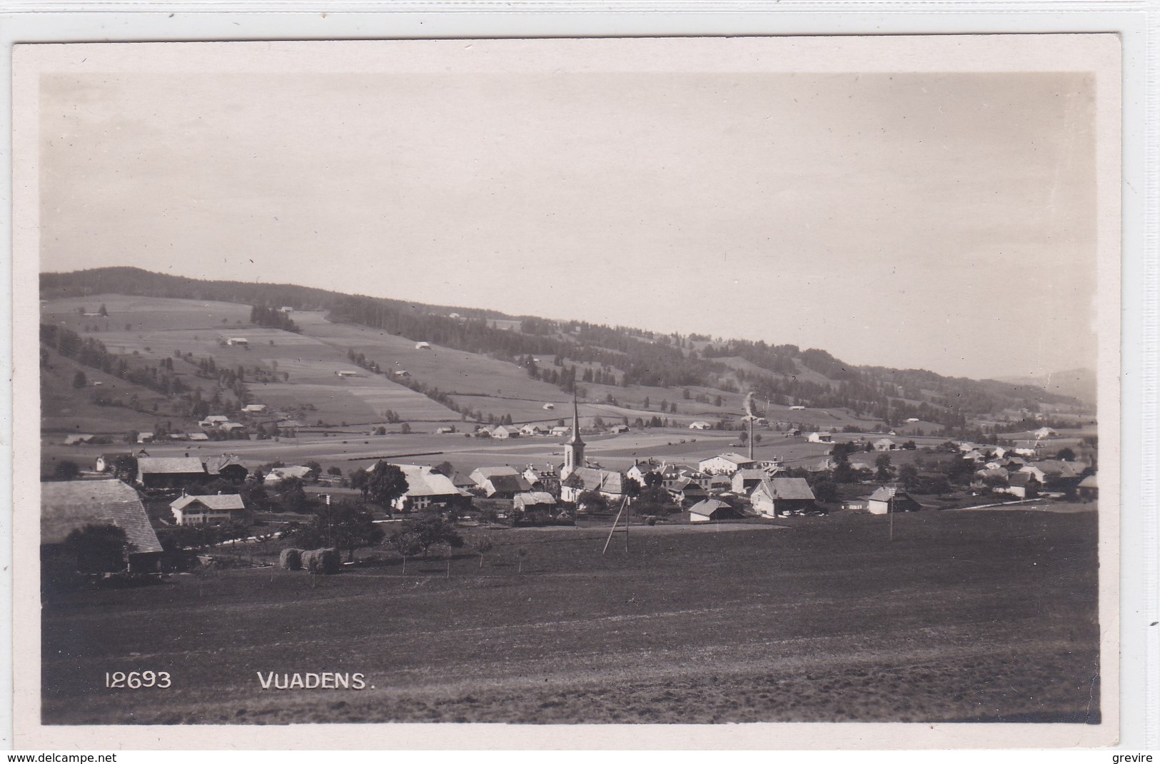 Vuadens, vue générale