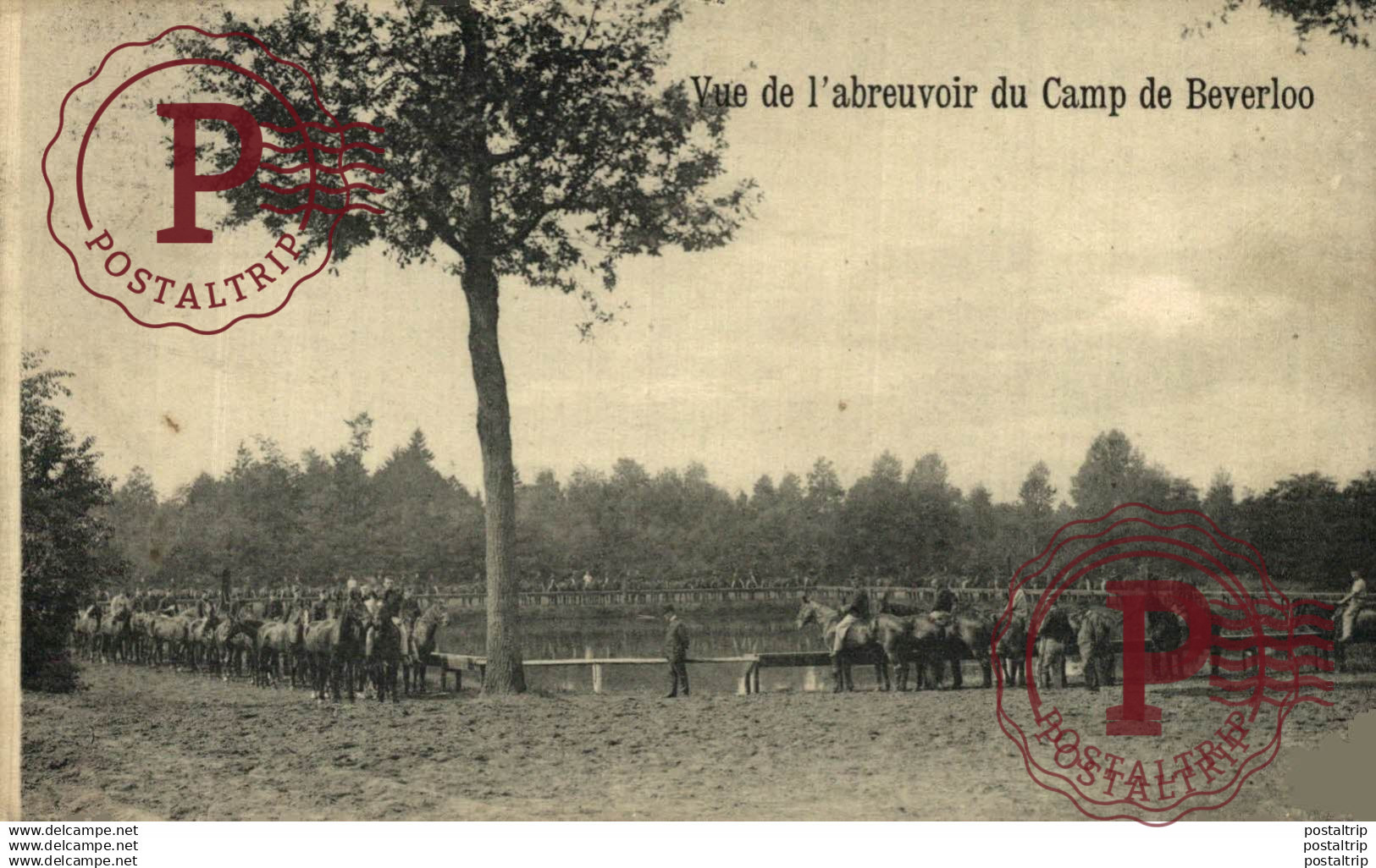 VUE DE L'ABREUVOIR DU CAMP DE BEVERLOO. Camp de BEVERLOO KAMP LEOPOLDSBURG BOURG LEOPOLD WWICOLLECTIO