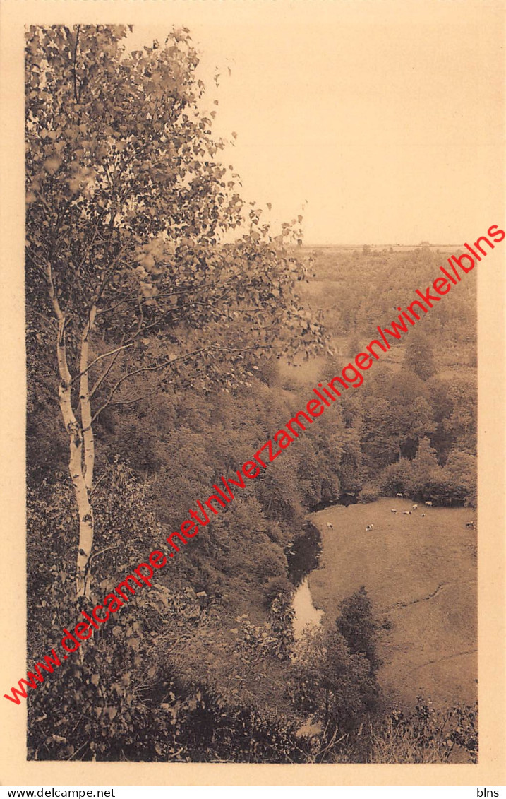 Vue du saut des sorcières - Auby-sur-Semois