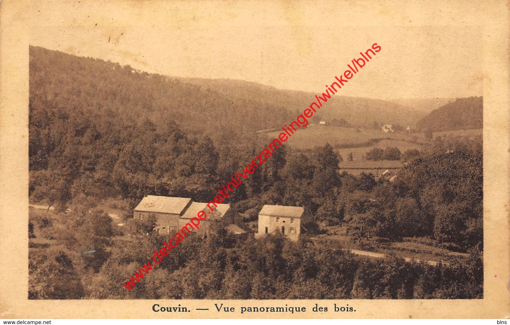 Vue panoramique des bois - Couvin