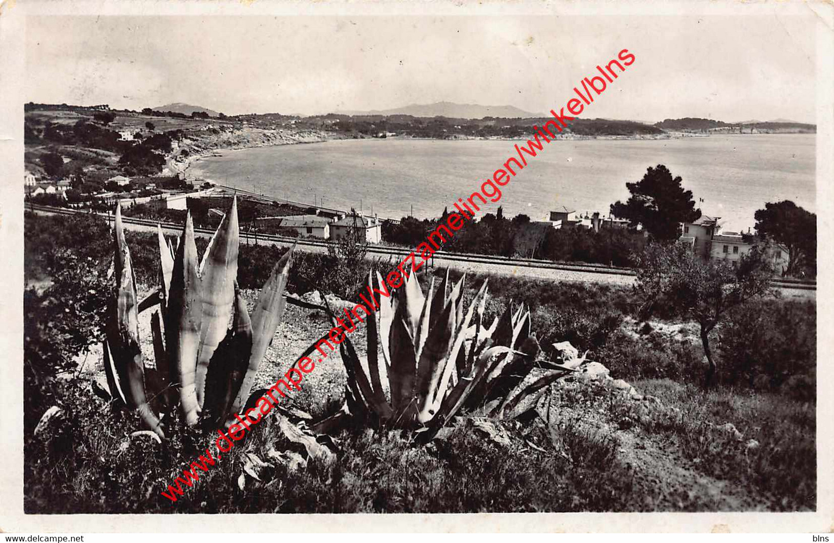 Vue sur la Gorguette - Bandol - (83) Var