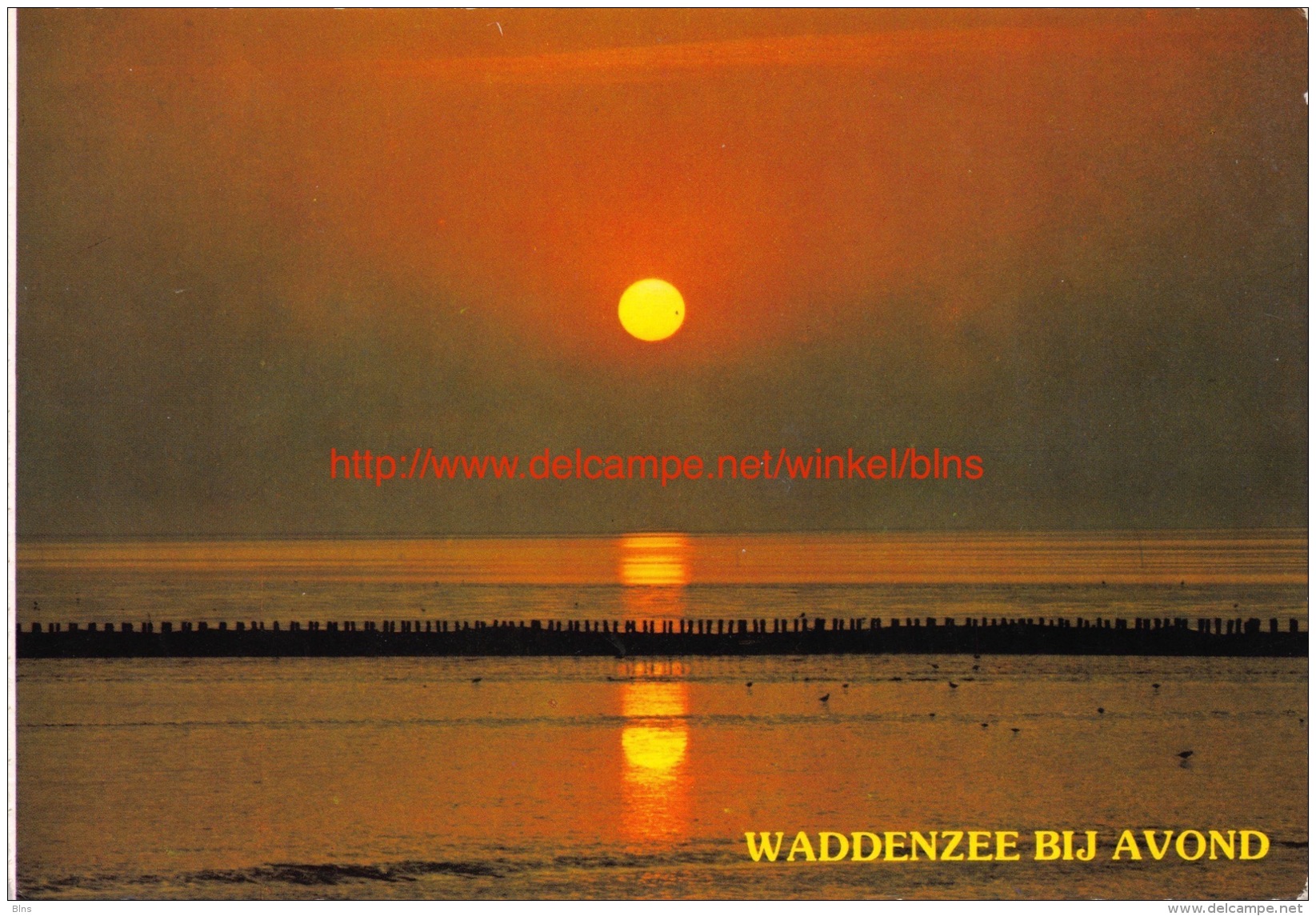 Waddenzee bij Avond - Noord-Holland