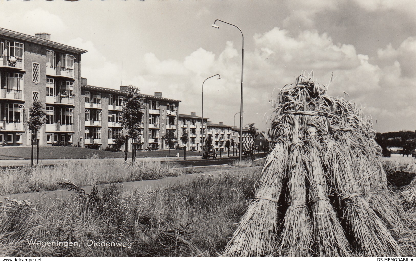 Wageningen - Diedenweg