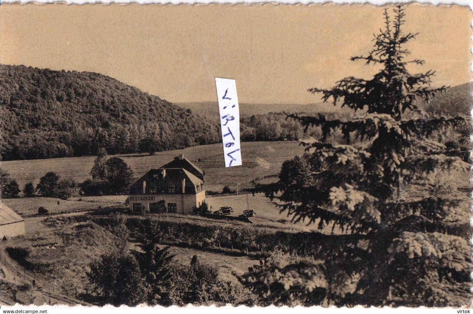 WELLIN  :  panorama de Neupont    1954