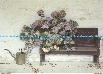 D002805 Images of East Anglia. Cressida Pemberton Pigott. No EAP039