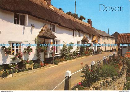 D003702 Devon. Salmon. Devon Cottages at Branscombe