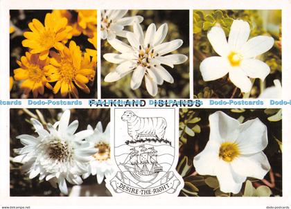 D009603 Falkland Islands. Daisy. Lavender. Pale Maiden. Vanilla. Scurvy Grass. S