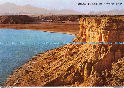 D011488 Sharm el Sheikh. Palphot