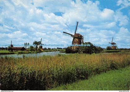 D012645 Dutch Windmill. Kinderdijk