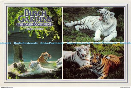 D014796 Busch Gardens. The Dark Continent. Tampa. Florida. Multi view