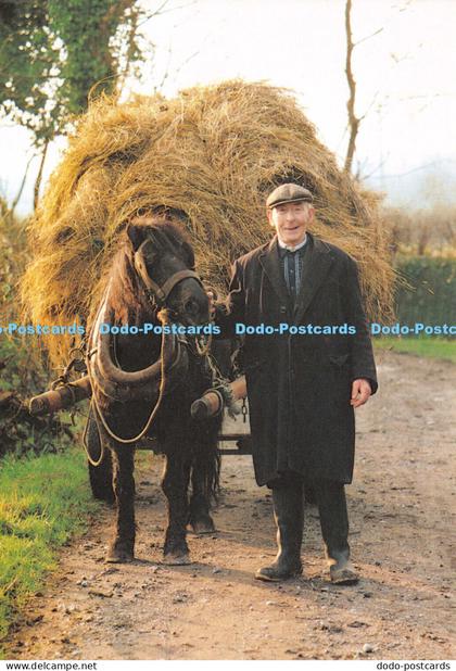 D027470 Farmer with hay cart near Athlone. Co. Westmeath. Real Ireland. No. 36.