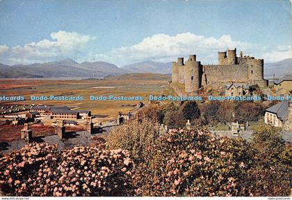 D027739 Harlech Castle. Merionethshire. Snowdonia National Park. Dixon. 1980