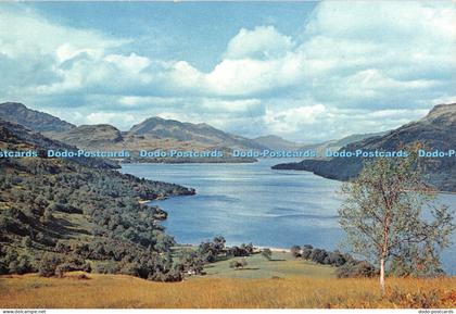 D054422 Dunbartonshire. Loch Lomond. The Bonnie Banks. J. Arthur Dixon