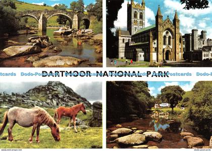 D056168 Dartmoor National Park. Buckfast Abbey. Dartmoor Ponies. John Hinde. E.