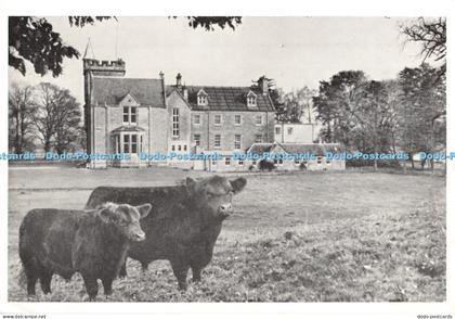 D058134 Aberdeen Angus at Hartree Hotel. Biggar. Scottish Farmer