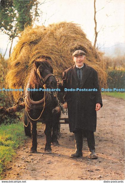 D062347 Farmer With Hay Cart Near Athlone Co. Westmeath. The People and Landscap