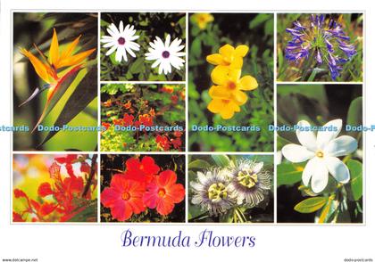 D065010 Bermuda Flowers. Prime Products Bermuda. Multi View