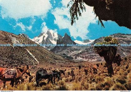 D066595 Mount Kenia. Sapra Studio. Postcard