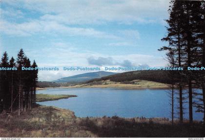 D090196 Kielder Water. Northumberland. Hexham Tourist