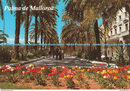 D103036 Palma de Mallorca. Paseo Sagrera. Ediciones Palma