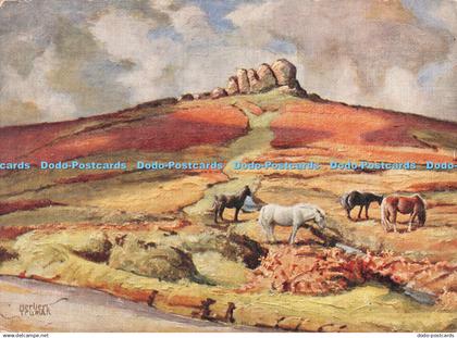 D106536 Dartmoor. Haytor and Dartmoor Ponies. Cornish Riviera Press. Series 1017