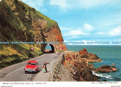 D111425 Co. Antrim. N. I. Antrim Coast Road near Larne. John Hinde. E. Nagele