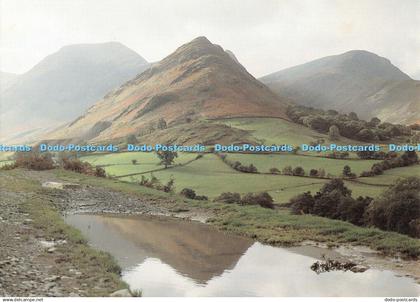 D115346 Newlands Valley. Chapter and Verse. Cressida Pemberton Pigott