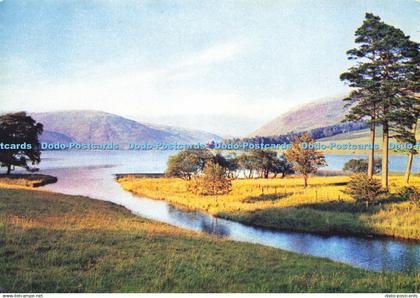 D146720 St. Marys Loch. Selkirkshire. Dixon