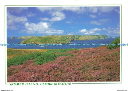 D147564 Pembrokeshire. Skomer Island. Pembrokeshire Eye Postcards. Haven Colourp