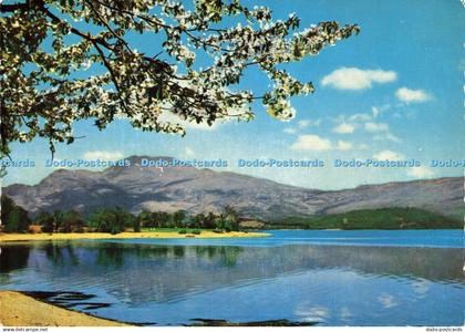 D155877 Dunbartonshire. Springtime On Loch Lomond. Valentine. Scots Pictorial Se