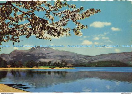 D156385 Dunbartonshire. Springtime on Loch Lomond. Valentine. Scots Pictorial Se