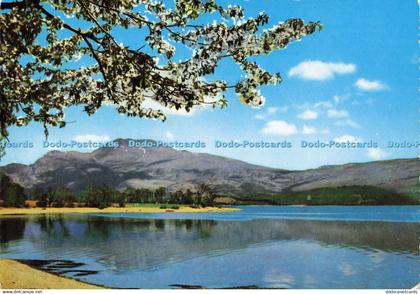 D157586 Dunbartonshire. Springtime on Loch Lomond. Valentine. Scots Pictorial Se