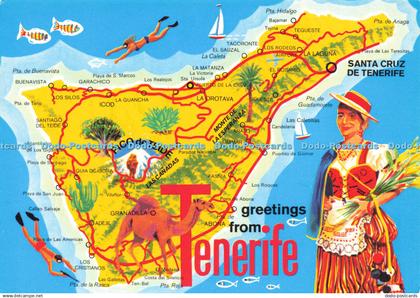 D161758 Greetings From Tenerife. John Hinde. Perez Zamora