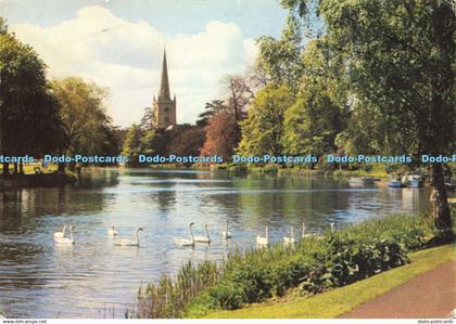 D177101 Stratford Upon Avon. Swans on the Avon. Walter Scott