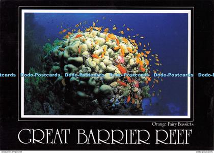 D190450 Great Barrier Reef. Orange Fairy Basslets. Peer Productions