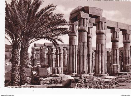 EGYPT - Luxor - Columns of AmenophisIII in the Luxor Temple - Lehnert & Landrock