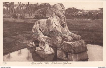 EGYPT - Memphis - The Alabaster Sphinx