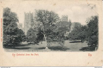 PC02312 Ely Cathedral from the Park. Ely. Stengel and Co