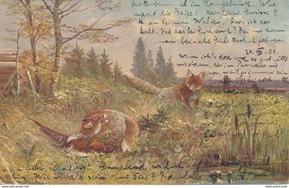 PC53829 Old Postcard. Foxes. Haar und Federwild. 1904